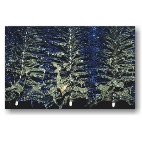 Standard tó szűrő kefe (30x15 cm)