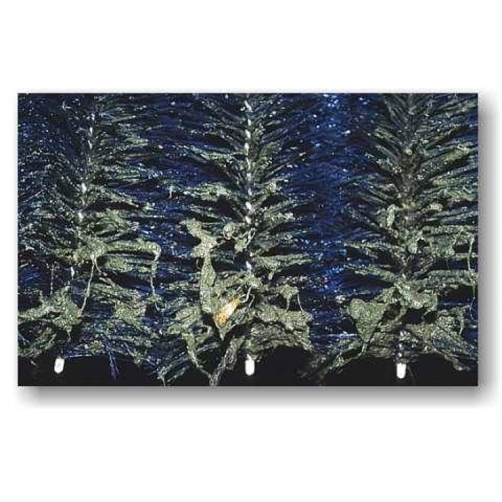 Standard tó szűrő kefe (30x15 cm)