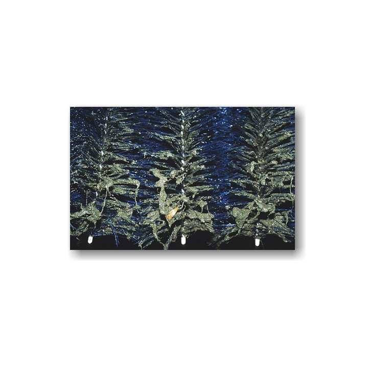 Standard tó szűrő kefe (40x15 cm)