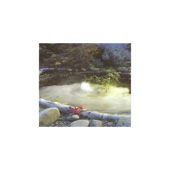 Ubbink Mystmaker III kültéri ködösítő (84W)