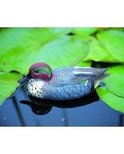 Úszó réce hím, 31 cm - Élethű madár figura - csalimadár