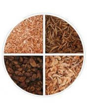 Szárított lárva mix (selyemhernyó, lisztkukac, garnéla, gammarus) 2500 ml ( 500 g )