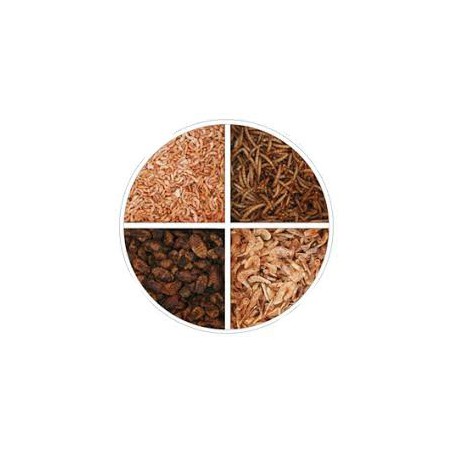 Szárított lárva mix (selyemhernyó, lisztkukac, garnéla, gammarus) 2500 ml ( 500 g )