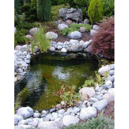 Calmus SIII 350 literes műanyag tómeder