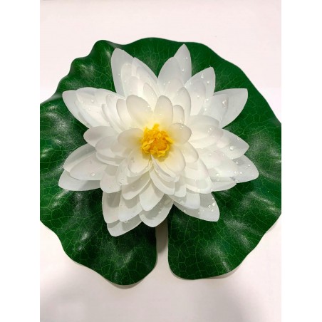 Élethű Tavirózsa fehér 14cm (1389434)