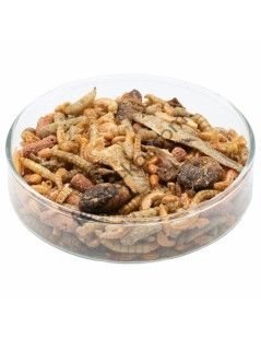 Teknős mix 500 ml