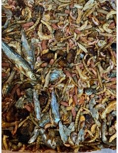 Teknős mix 5000 ml