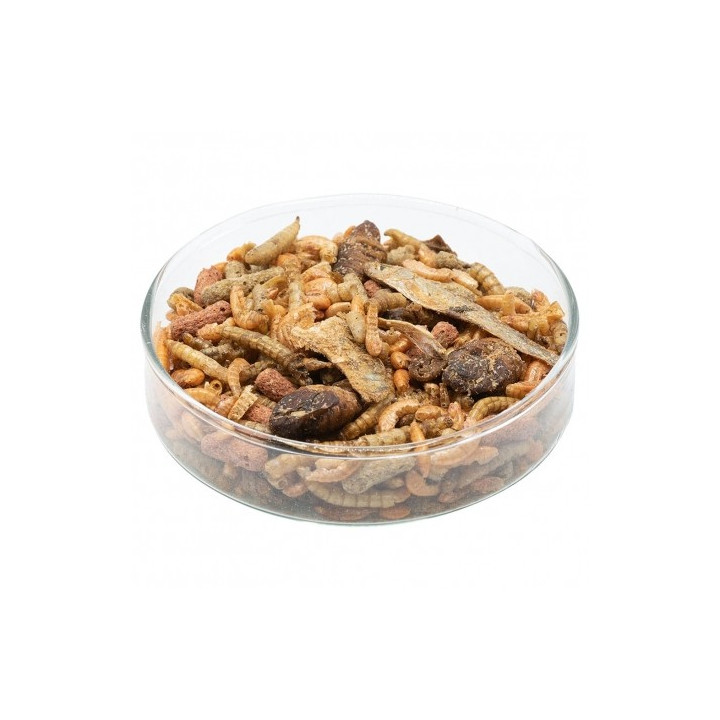 Teknős mix 5000 ml