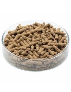 Teknős táp állati granulátum 500 ml ( barna )