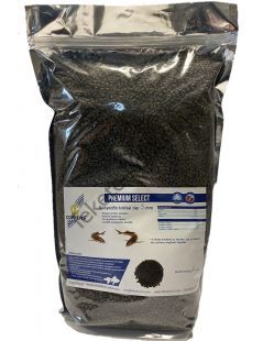 Coppens Premium Select süllyedős  tokhal táp 3 mm ( 2 kg )