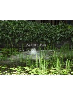 Velda  Mistmaker kültéri ködösítő (24W)