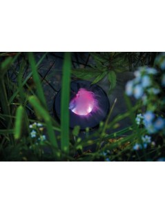 Pontec PondoFog RGB kültéri ködfejlesztő színes világítással 43189