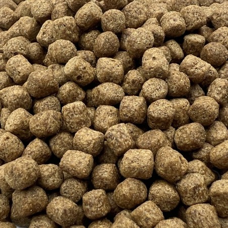 Coppens Wheat Germ búzacsírás koi táp 6 mm ( 1 kg )