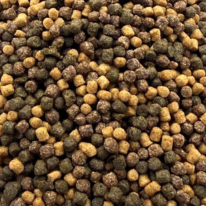 Színfokozós koi haltáp 3 mm  ( 2500 ml / 1060 g )