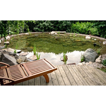 Termék ajánlások 3-5m3 kerti tavakhoz