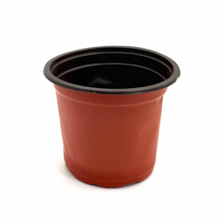 Palántázó cserép Ø 11cm ( FPD-A130 )