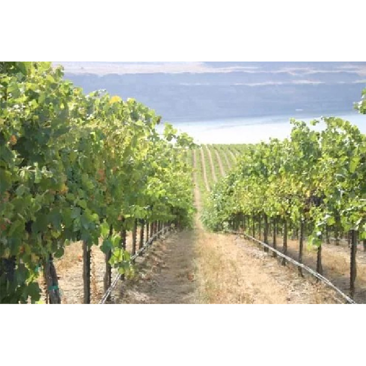 PC csepegtető cső Dynomac PC DN 20 mm 100 cm, 2 l/h, 300 m nyomás kompenzált ( föld alá is fektethető ) akár 99,5Ft/m áron