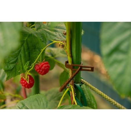 Oldható kötegelő növények rögzítéséhez 170/5,4mm zöld