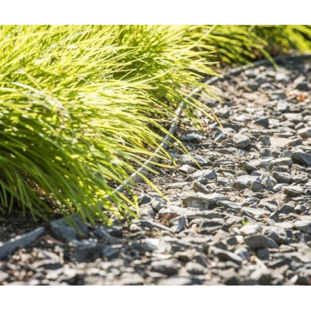 ECOLAT-TÓPEREM 14 cm   x 0,7 cm (1m) tó és ágyásszegély