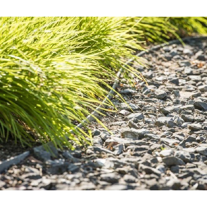 ECOLAT-TÓPEREM 14 cm   x 0,7 cm (1m) tó és ágyásszegély