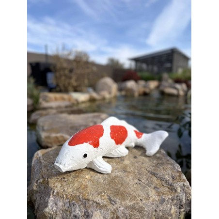Koi szobor 45cm (színes)