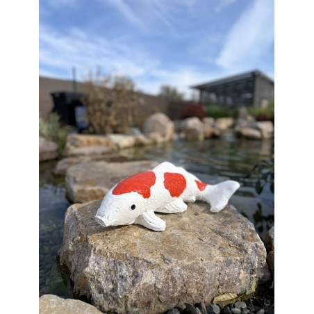 Koi szobor 45cm (színes)
