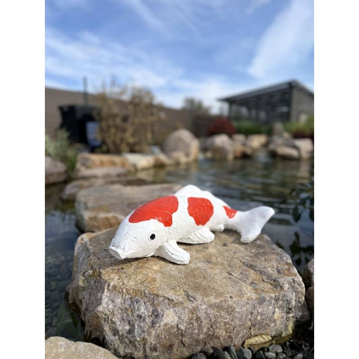 Koi szobor 45cm (színes)