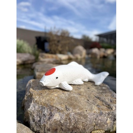Koi szobor 45cm (színes)