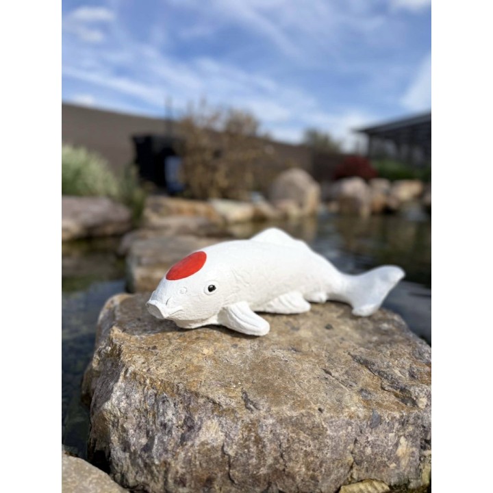 Koi szobor 45cm (színes)