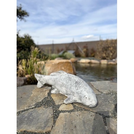 Koi szobor 62cm (szürke)