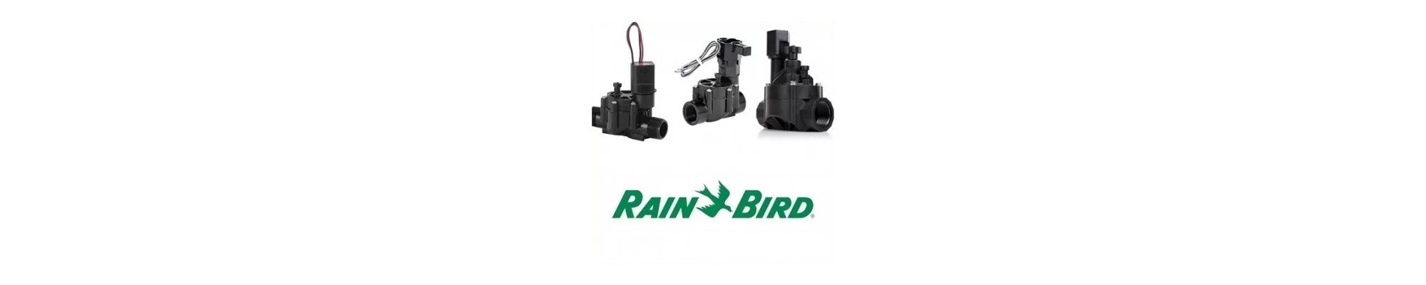 Rain Bird mágnesszelepek
