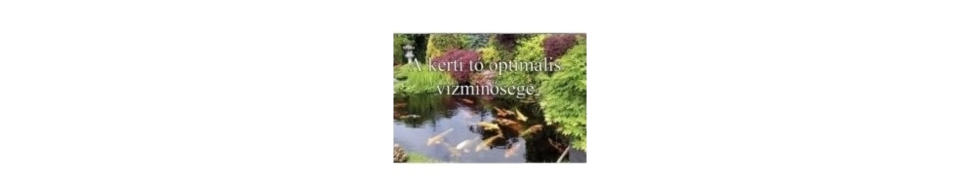 A kerti tó optimális vízminősége